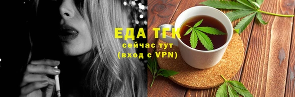 молекула духа Горнозаводск