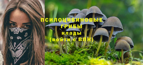 СК Вяземский