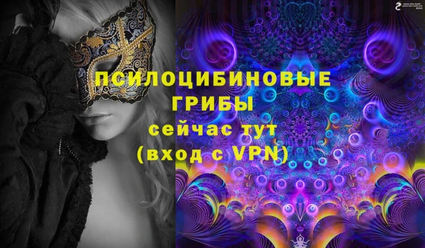 молекула духа Горнозаводск