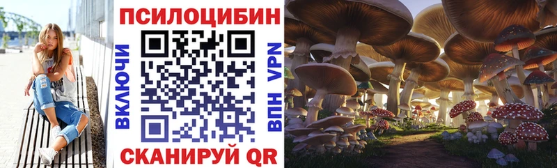 сайты даркнета Telegram  Давлеканово  Псилоцибиновые грибы Magic Shrooms 
